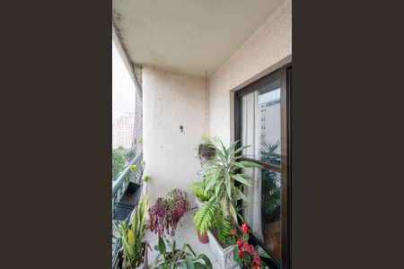 Varanda de apartamento para alugar com 2 quartos, 65m² em Vila da Saúde, São Paulo