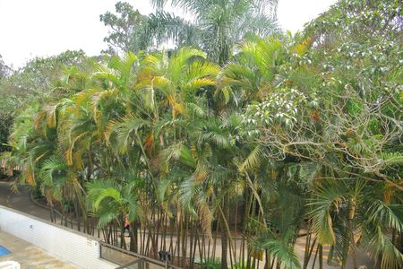 Sala- Sacada -Vista  de apartamento à venda com 3 quartos, 119m² em Anchieta, São Bernardo do Campo