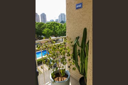 Varanda da Sala de apartamento para alugar com 2 quartos, 48m² em Engenho de Dentro, Rio de Janeiro