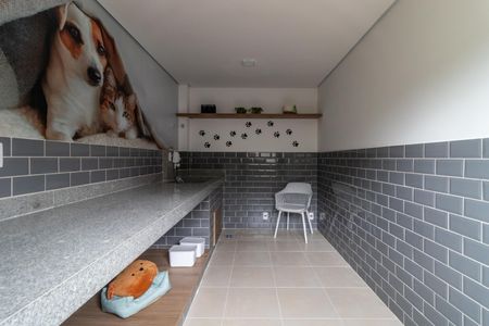 Apartamento para alugar com 34m², 2 quartos e sem vaga Apartamento para alugar com 34m², 2 quartos e sem vagaÁrea comum - Pet Care