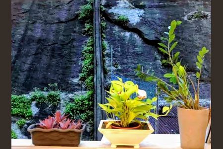 Apartamento à venda com 72m², 2 quartos e sem vagaFoto 10