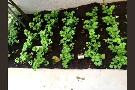 Apartamento para alugar com 100m², 3 quartos e 1 vagaÁrea comum