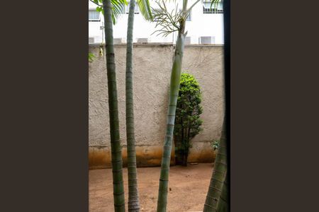 Apartamento à venda com 49m², 2 quartos e sem vagaVista do Quarto 2