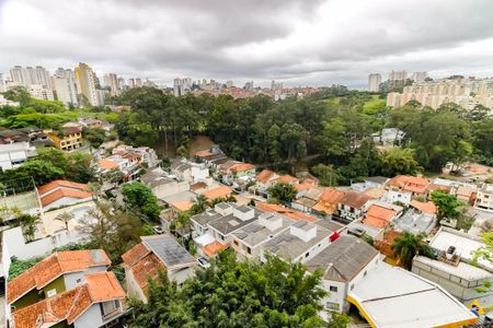 Vista da Varanda de apartamento para alugar com 1 quarto, 41m² em Paraíso do Morumbi, São Paulo