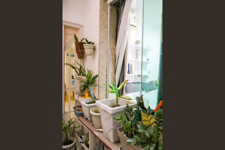 Casa de condomínio à venda com 179m², 3 quartos e 1 vagaJardim Interno