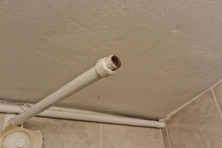 Casa para alugar com 450m², 3 quartos e 2 vagasEdícula - banheiro