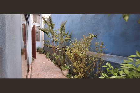 Casa para alugar com 300m², 5 quartos e 3 vagas Casa para alugar com 300m², 5 quartos e 3 vagasQuintal