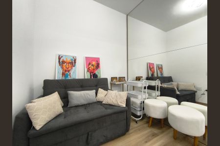 Sala de apartamento para alugar com 1 quarto, 27m² em Vila Dom Pedro I, São Paulo