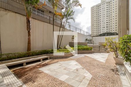 Apartamento à venda com 266m², 3 quartos e 3 vagasÁrea comum