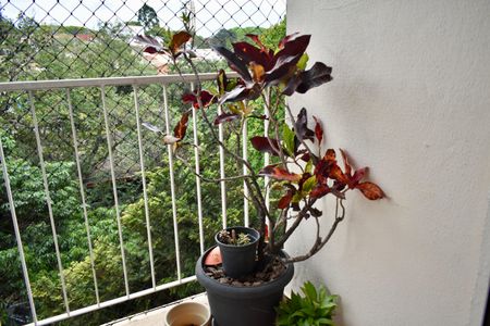 Sacada de apartamento à venda com 3 quartos, 63m² em Saúde, São Paulo