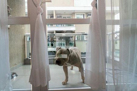 Apartamento à venda com 98m², 3 quartos e 2 vagas