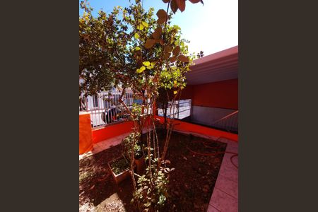 Casa à venda com 250m², 3 quartos e 2 vagas