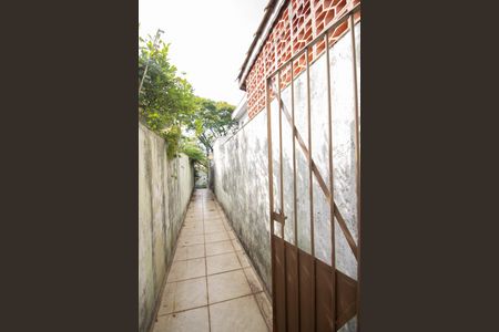 Casa para alugar com 300m², 5 quartos e 4 vagasQuintal