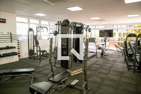 Apartamento à venda com 100m², 3 quartos e 2 vagas Apartamento à venda com 100m², 3 quartos e 2 vagasÁrea comum - Academia