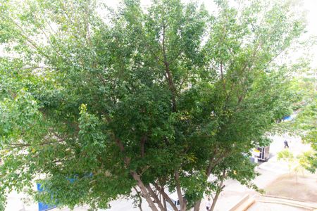 Apartamento à venda com 70m², 3 quartos e 1 vagaVista do Quarto 1