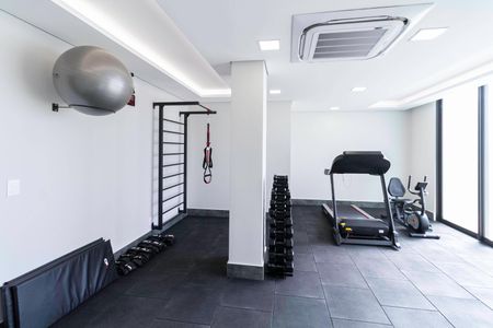 Apartamento à venda com 293m², 4 quartos e 6 vagasÁrea comum - Academia