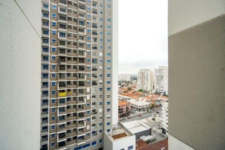 Apartamento à venda com 77m², 3 quartos e 1 vagaVista da suíte