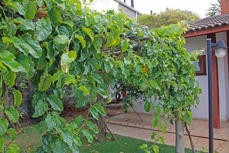 Casa de condomínio para alugar com 460m², 5 quartos e 6 vagasÁrea Externa