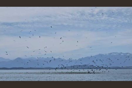 Apartamento à venda com 3 quartos, 71m² em Portuguesa, Rio de Janeiro