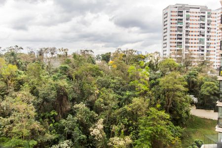 Vista da Varanda de apartamento para alugar com 2 quartos, 68m² em Jardim Tupanci, Barueri