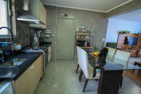 Apartamento para alugar com 90m², 3 quartos e 1 vaga Apartamento para alugar com 90m², 3 quartos e 1 vagaCozinha