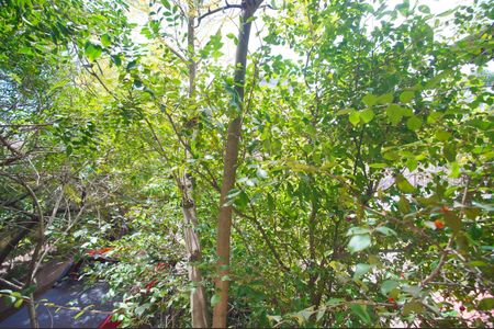 Casa à venda com 380m², 5 quartos e 5 vagasVista do Quarto 1