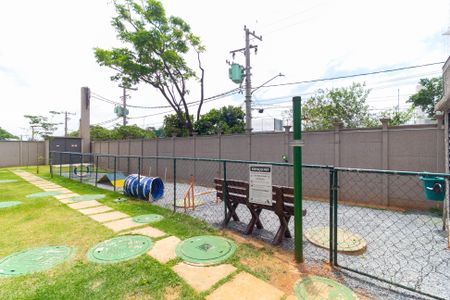 Apartamento para alugar com 42m², 2 quartos e sem vaga Apartamento para alugar com 42m², 2 quartos e sem vagaÁrea comum - Espaço Pet