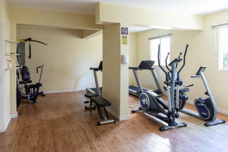 Apartamento à venda com 65m², 2 quartos e 1 vagaÁrea comum - Academia