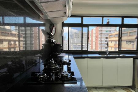 Apartamento para alugar com 263m², 3 quartos e 1 vaga Apartamento para alugar com 263m², 3 quartos e 1 vagaCozinha e Área de Serviço