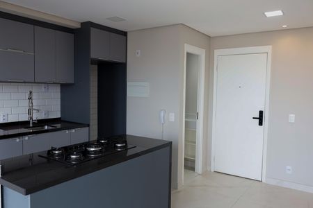 Apartamento para alugar com 56m², 2 quartos e 2 vagasCozinha