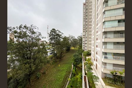 Apartamento à venda com 151m², 3 quartos e 2 vagasFoto 49
