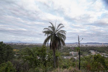 Apartamento à venda com 122m², 3 quartos e 2 vagasVista da suíte 