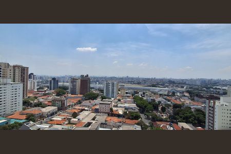 Apartamento à venda com 488m², 3 quartos e 5 vagasVista