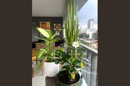 Apartamento para alugar com 98m², 3 quartos e 2 vagas Apartamento para alugar com 98m², 3 quartos e 2 vagasVaranda da Sala/Cozinha