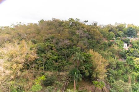 Vista da Sala de apartamento para alugar com 2 quartos, 76m² em Santa Rosa, Niterói