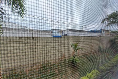 Vista do Quarto 1 de apartamento para alugar com 3 quartos, 74m² em Jardim das Bandeiras, Campinas