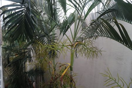 Apartamento para alugar com 44m², 2 quartos e 1 vagaVista