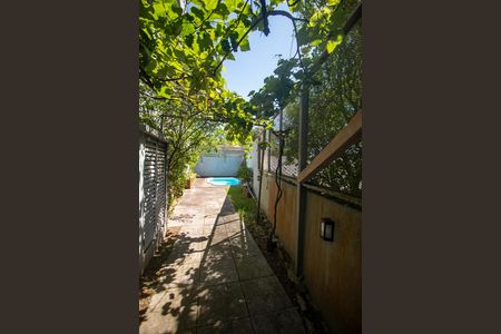Casa para alugar com 279m², 5 quartos e 2 vagas Casa para alugar com 279m², 5 quartos e 2 vagasQuintal
