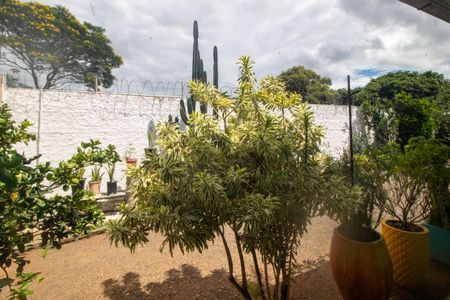 Casa para alugar com 450m², 6 quartos e 5 vagasVista