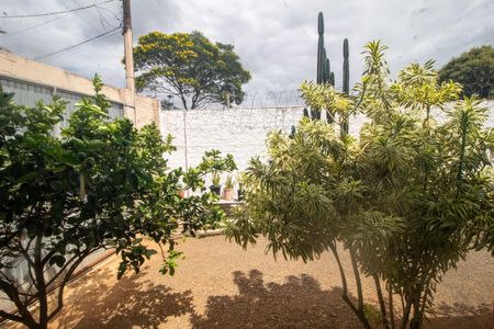 Casa para alugar com 450m², 6 quartos e 5 vagasVista