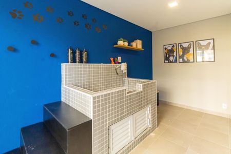 Apartamento para alugar com 35m², 2 quartos e sem vaga Apartamento para alugar com 35m², 2 quartos e sem vagaPet Care