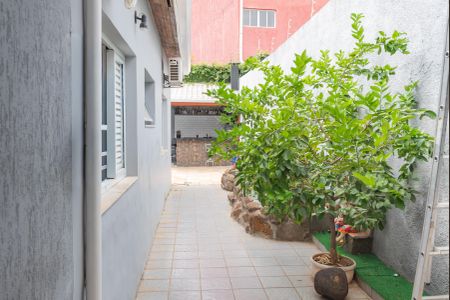 Casa à venda com 320m², 3 quartos e 6 vagas Casa à venda com 320m², 3 quartos e 6 vagasQuintal