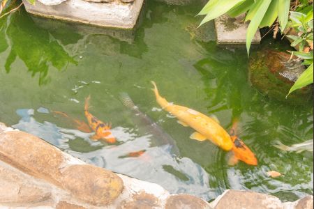 Casa à venda com 320m², 3 quartos e 6 vagas Casa à venda com 320m², 3 quartos e 6 vagasCarpas