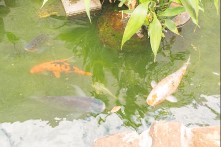 Casa à venda com 320m², 3 quartos e 6 vagas Casa à venda com 320m², 3 quartos e 6 vagasCarpas