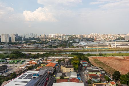 Vista da Sala de apartamento para alugar com 1 quarto, 36m² em Veleiros, São Paulo