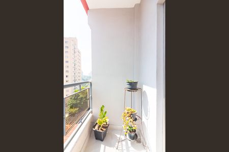 Apartamento à venda com 79m², 3 quartos e 2 vagasSacada