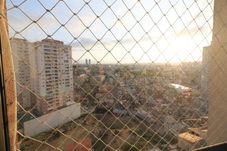 Apartamento à venda com 52m², 2 quartos e 1 vagaVista