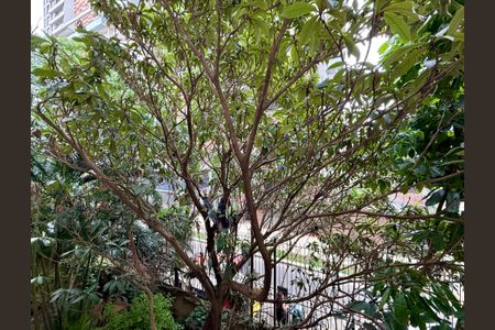 Apartamento para alugar com 130m², 3 quartos e 2 vagasVista Quarto 2