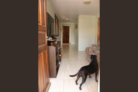 Sala de casa para alugar com 2 quartos, 100m² em Parque Alexandre, Cotia