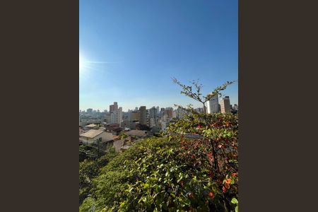 Vista de apartamento à venda com 3 quartos, 102m² em Santo Antônio, Belo Horizonte